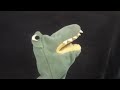 Introducing.... Ally Alligator!