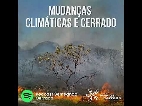 Mudanças Climáticas e Cerrado – desafios e soluções (Podcast Semeando)
