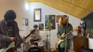 Mudhoney - Suck You Dry (Band Cover)