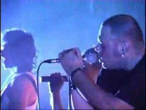 Skontra - y sigo en pié