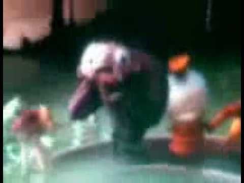 The Tails New Groove Part 8 - Igor to the Rescue