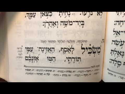 תהלים פרק עח Tehillim perek 78 Psalms chapter 78