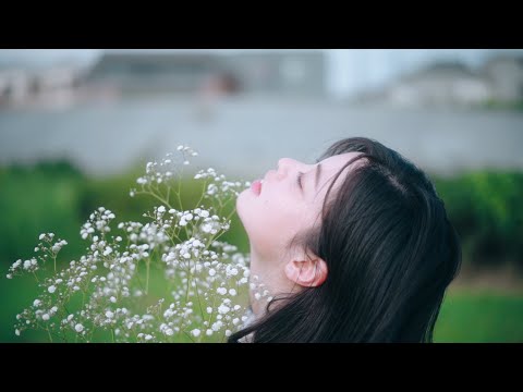 ペトリコールを永遠に