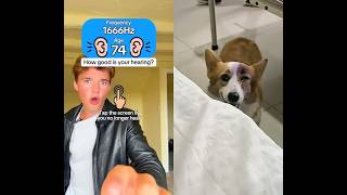 Download lagu #dothingsyoudontwanttodo #helpmemakethismakesense #comedy #funny #funny mp3