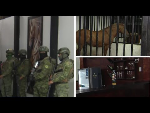 Operativo Apolo 4.0 en Milagro: incautan armas y caballos durante allanamientos