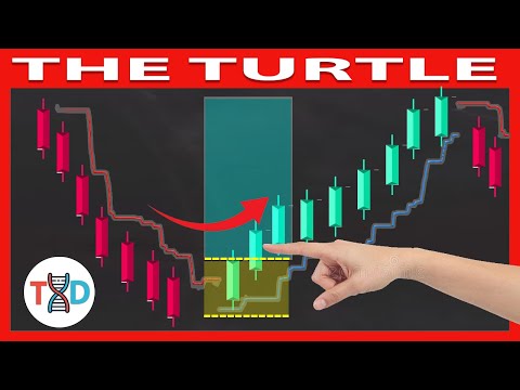 🔴  **FULL COURSE FOR BEGINNERS** The "BEST" TURTLE CHANNEL Trading Strategy That NoOne Ever Told You