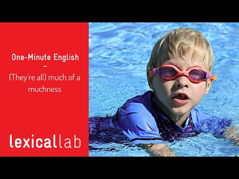 ONE-MINUTE ENGLISH: (They're all) much of a muchness LEARN WITH LEXICAL LAB