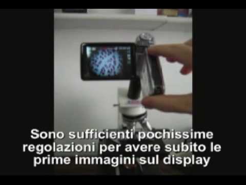 Da essere umano di vermi Portare rimedi di gente di parassiti