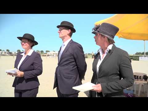 Fokdag Fokvereniging Noord- en Zuid-Holland te Oudkarspel