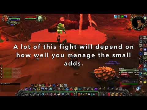 Hunter solo Maraudon (all bosses) - classic guide