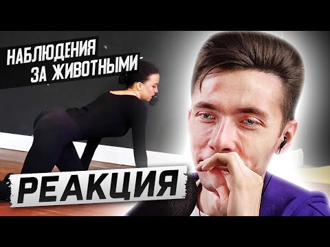 ХЕСУС СМОТРИТ КУРС МАСТЕРТВО АКТЕРА - НАБЛЮДЕНИЯ ЗА ЖИВОТНЫМИ | РЕАКЦИЯ