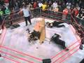 Beer Money Inc Vs Abyss Matt Morgan Vs Team 3D Vs LAX 4 4