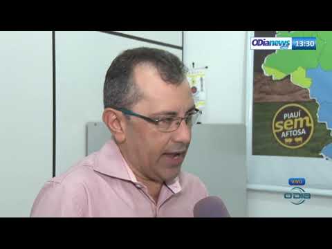 O DIA NEWS 30 07  Peste suiÌna claÌssica no PiauiÌ