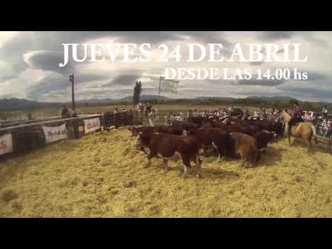 9no Remate Feria Especial Destete