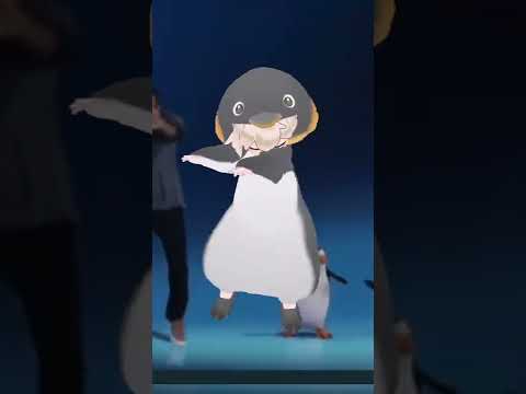 Pingüino dance