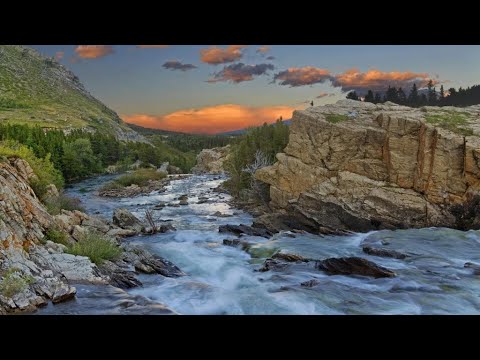 03.03 Science as Process – Beyond Networks: The Evolution of Living Systems