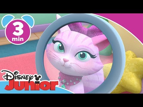 Doktor McStuffins | Katten Malous knurhår driller - Disney Junior Danmark