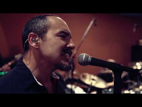 311 - Five of Everything (Official Music Video)