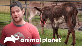 Thumbnail del capítulo