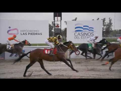 28/08/2016 – Hipodromo Las Piedras – Carr 10 – "DECLARATORIA DE LA INDEPENDENCIA"
