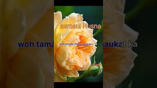 Download lagu Asma-ul-husna part 85/#allahke99naam #cokestudio #99nameofallah #asmaulhusna #ramzanmubarak #viral mp3