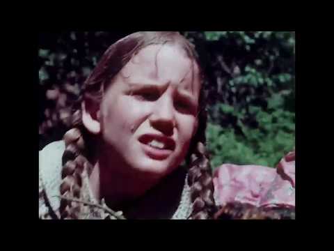 La Familia Ingalls (5 de 6) El día de campo | 2x09