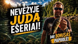 Nevėžyje juda ešeriai