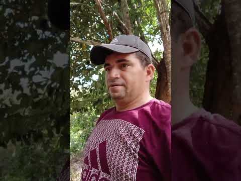 MAIS UMA VEZ INDO PRO SÍTIO #SERRAVELHA #VIDANAROÇA #PB