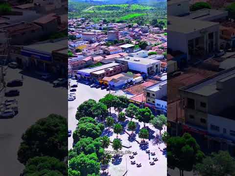 Assista ao vídeo