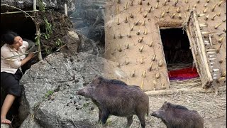 Girl Builds Shelter with Clay and Spikes to Escape Wild Boaa #survival #camping