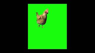 Download lagu FREE GREEN SCREEN VEDIO/HEN,BIRDS....NO COPYRIGHT/ALIFBAACHANNELABC mp3 Download lagu FREE GREEN SCREEN VEDIO/HEN,BIRDS....NO COPYRIGHT/ALIFBAACHANNELABC mp3