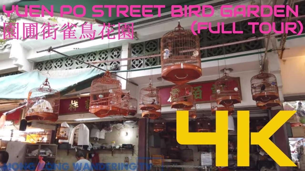 Exploring Hong Kong’s famous Bird Garden – colourful cages and chirping sounds