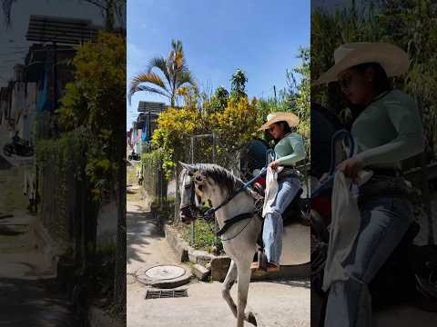 Elegance and passion at the San Carlos, Antioquia horse ride. 🐴🤠