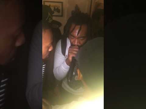 K9 Flirta D Direman Fugzi 2017