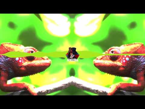 Kameleonen 2016 - DJ Inappropriate