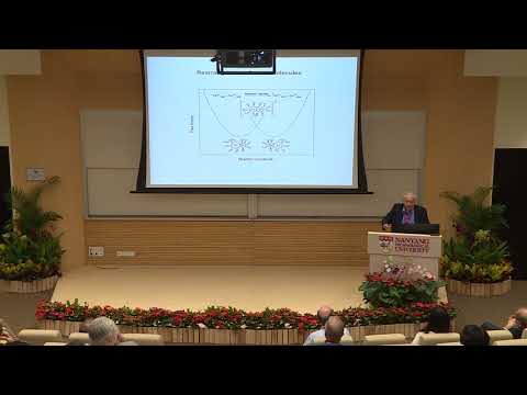 2018 - Polyelectrolytes Workshop: Rudolph A  Marcus