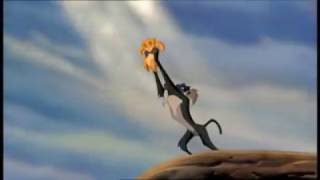 Bawitdaba Lion King Parody