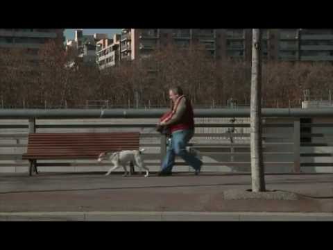 Anuncios publicitarios para TV