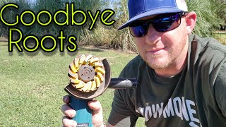 How to remove tree roots in your lawn