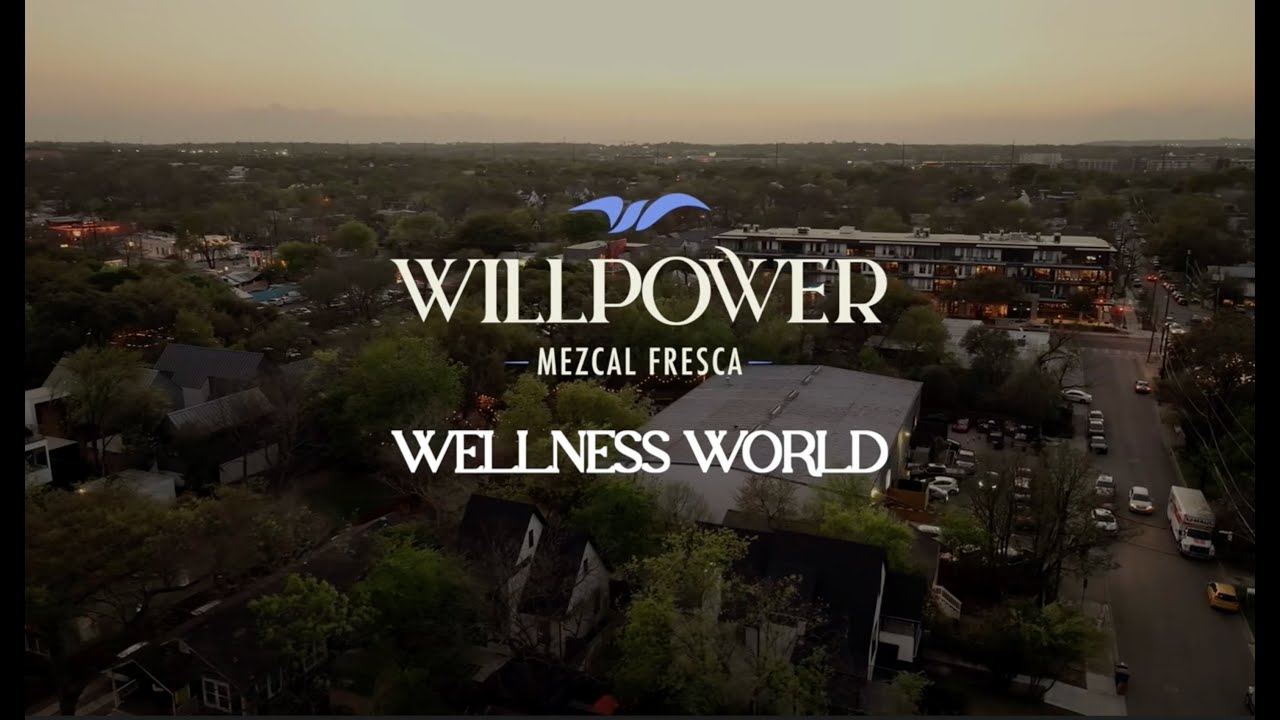 Willpower Wellness World — Day & Night recap thumbnail