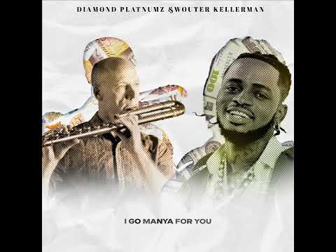 Diamond Platnumz & Wouter Kellerman - Pounds & Dollars (Lyric Video)