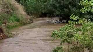 preview picture of video 'Водная стихия, болгарская река Огоста'