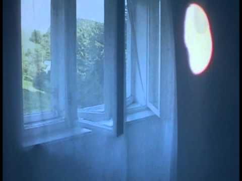 solokapr - Vilok mak
