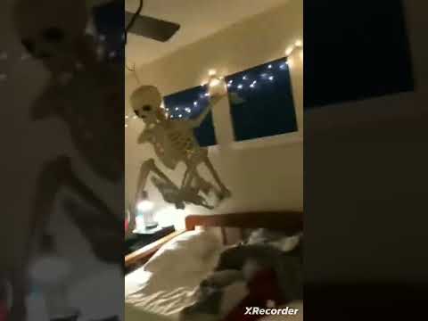 skeleton