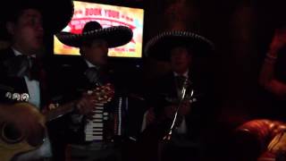 Doritos mariachi band Christmas - stay another day