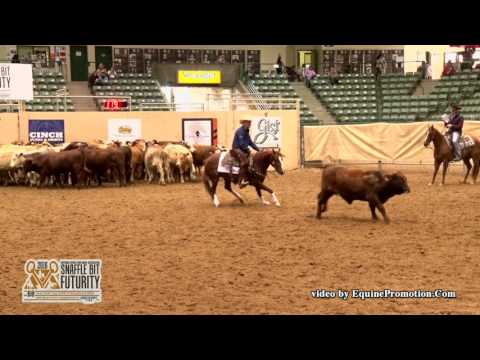 That Cats On Fire ridden by Chris Dawson  - 2016 NRCHA Snaffle Bit Futurity (Herd-FINALS)
