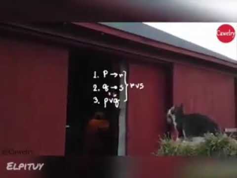 abielvarela16111@gmail.com