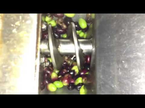 download lagu mp3 mp4 Saracena Olives, download lagu Saracena Olives gratis, unduh video klip Saracena Olives