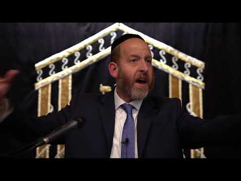 Finding Light in the Darkest of Places: Tehillim Chapter 27-part1