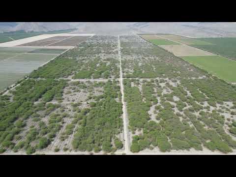 LA LIBERTAD - TERRENO AGRICOLA 7MIL HECTAREAS  CON AGUA D CANAL VIRU - CHAO - LA LIBERTAD PERU